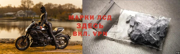 молекула духа Заволжье