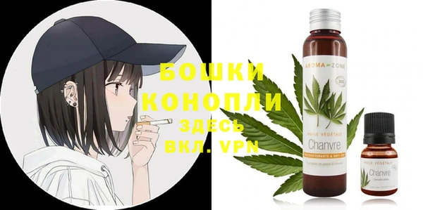 молекула духа Заволжье