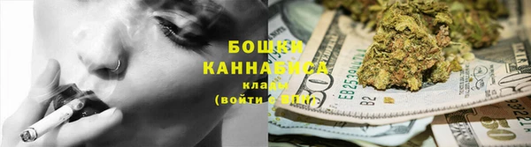 молекула духа Заволжье
