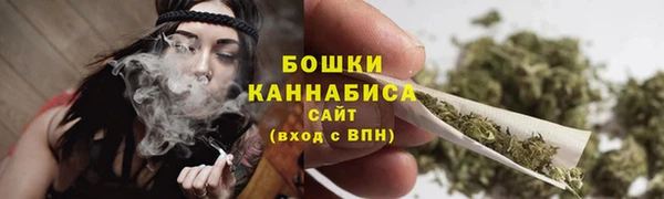молекула духа Заволжье