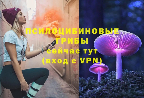 молекула духа Заволжье