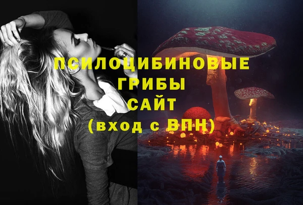 амф Заводоуковск