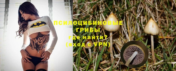молекула духа Заволжье